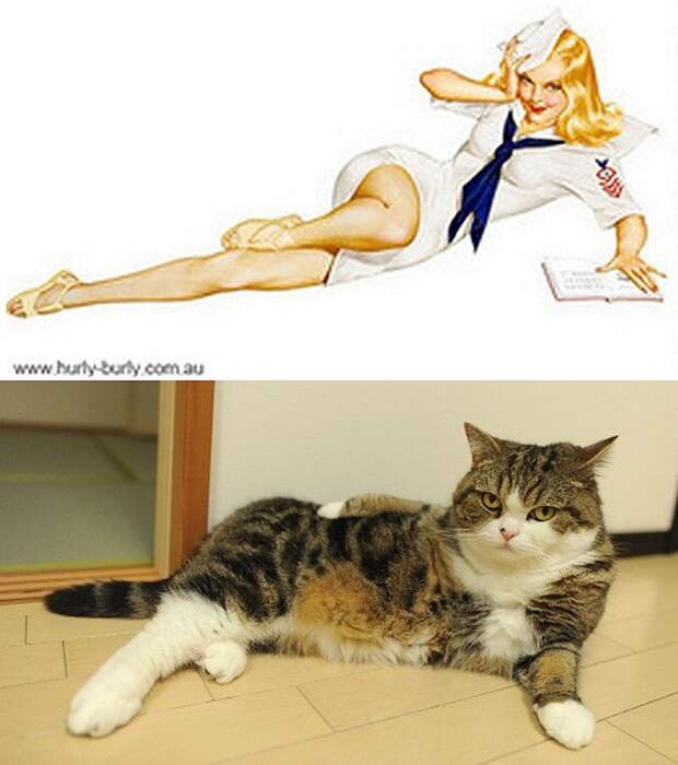 Кошки и девушки в стиле пинап pinupcats10 Кошки и девушки в стиле пинап
