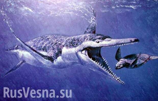 Огромное чудище найдено на берегах Волги | Русская весна