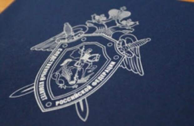 Главе ведомства доложат о расследовании противоправных действий в отношении женщин в Ленинградской области