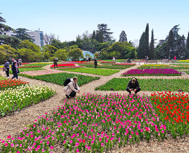 «Романтика крымской весны»: в Никитском ботсаду открылся 19-й парад тюльпанов