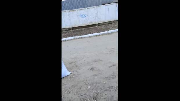 Просим обратить внимание на такой себе субботник...