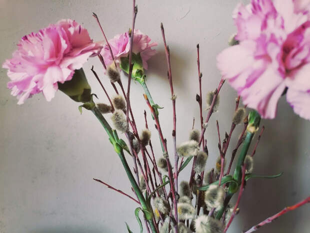 Вербное воскресенье в "Малых Корелах": программа праздника