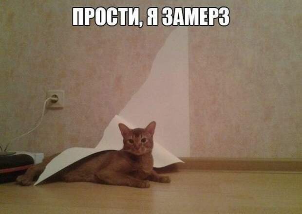 Смехотерапия Писца. Класс!