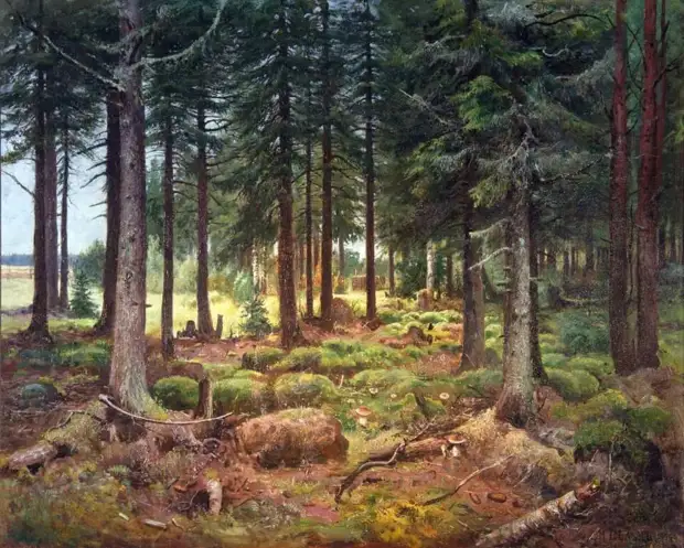 �������� ���� �����