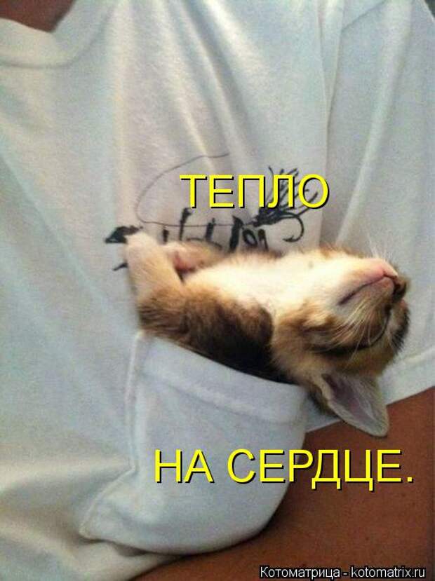 ТЕПЛО НА СЕРДЦЕ.