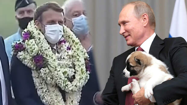 Не цветочный Макрон. Как Путин надел костюм "ао-зай" и принял самые гнусные и трогательные подарки
