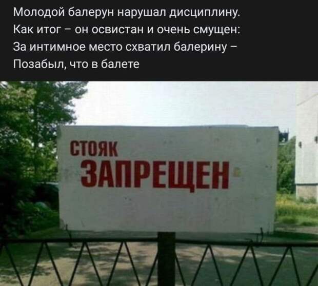 стих про стояк