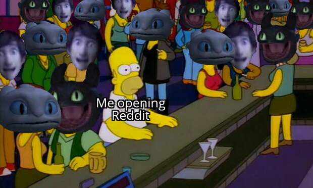 Toothless dragon and Light Fury memes