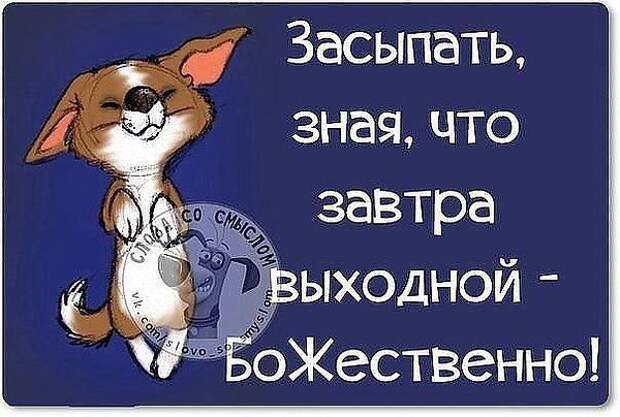 Всем хороших выходных! 💐 #Выходные #Бухгалтерия #Праздники ...