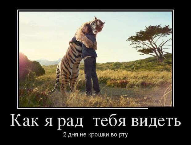Демотиваторы (30 фото)