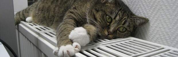 Когда отключат отопление? Вопрос, который волнует жителей Актау