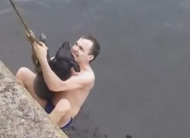 В Воронеже из водохранилища парень доставал тонувшую собаку