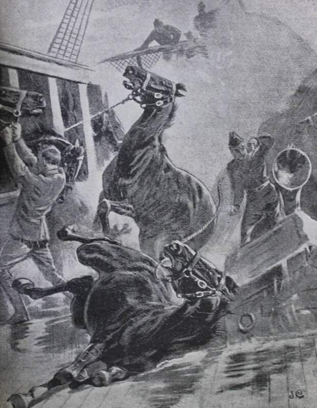 Начало англо-бурской войны 1899–1902 гг.