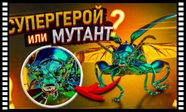5 ЖИВОТНЫХ СО СВЕРХЪЕСТЕСТВЕННЫМИ СПОСОБНОСТЯМИ 5 ЖИВОТНЫХ СО СВЕРХЪЕСТЕСТВЕННЫМИ СПОСОБНОСТЯМИ