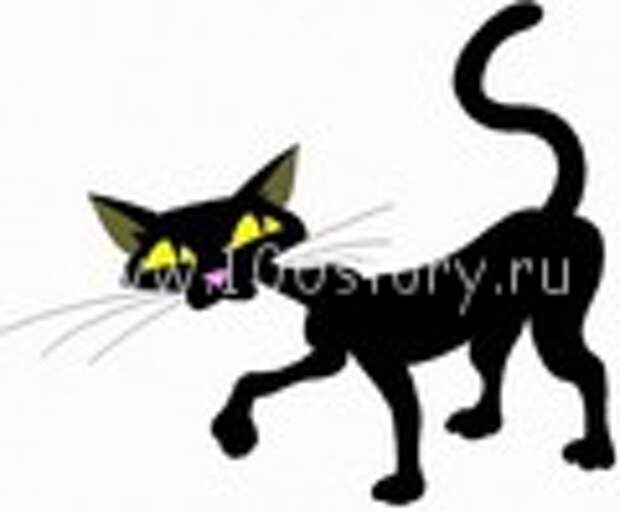 Икра для кота