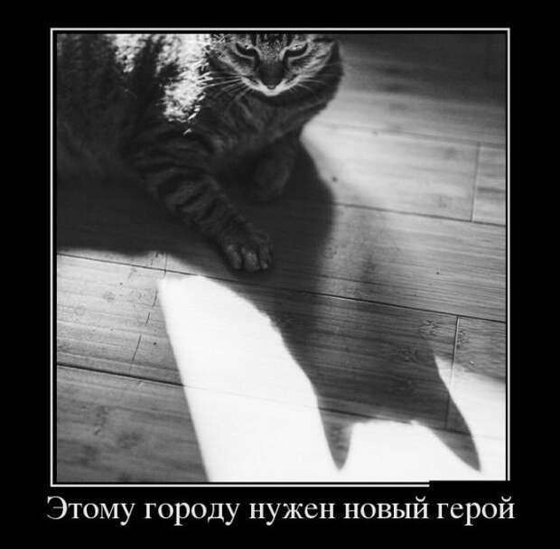 Демотиваторы (30 фото)