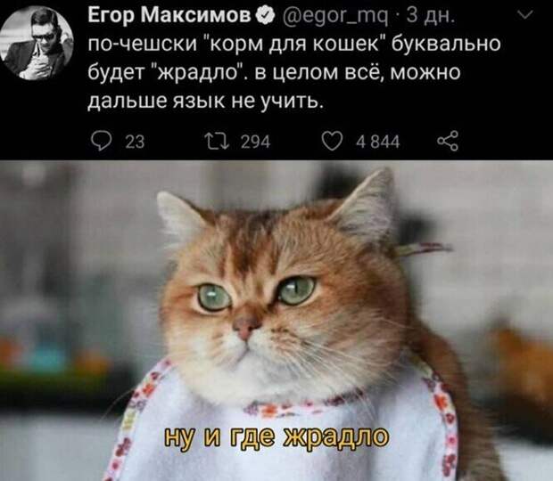 Смешные и познавательные картинки