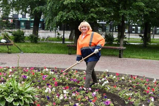 Город-сад: по каким правилам коммунальщики сажают цветы во дворах?