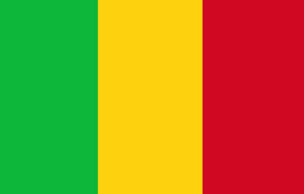 Мали. Парламентско-президентская республика. Площадь 1 240 192 км². Население около 20 млн человек. Столица Бамако