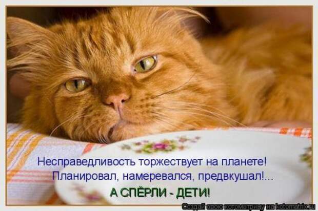 Котоматрицы(картинки с надписями)