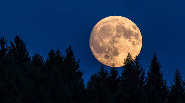 Россияне в 2026 году смогут наблюдать сразу два затмения