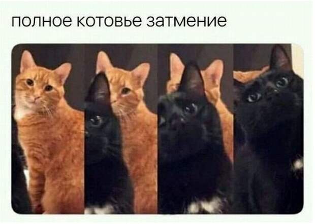 Картинки и смешные комментарии Картинки и смешные комментарии