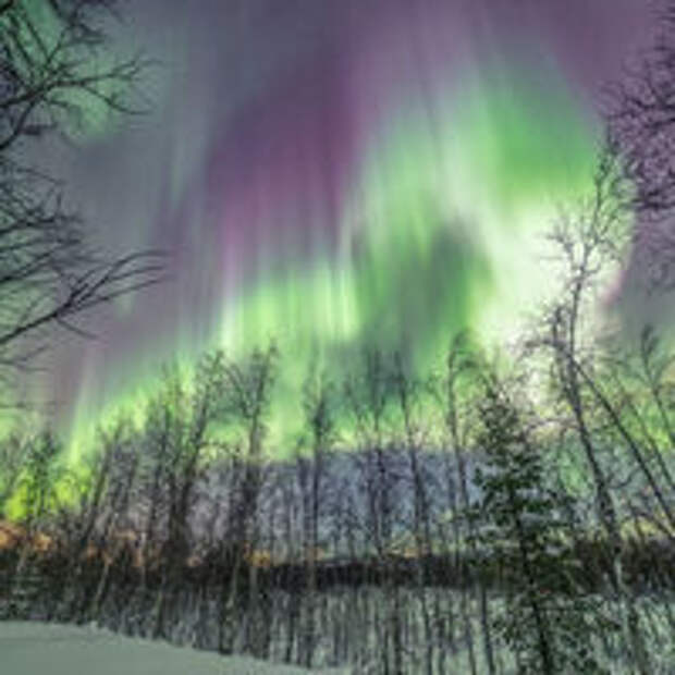 25 поразительных фото северного сияния, объясняющих, почему все сходят по нему с ума