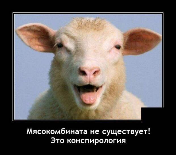 demotivatory-demotivator-smeshnye-demotivatory-demotivator-so-smyslom