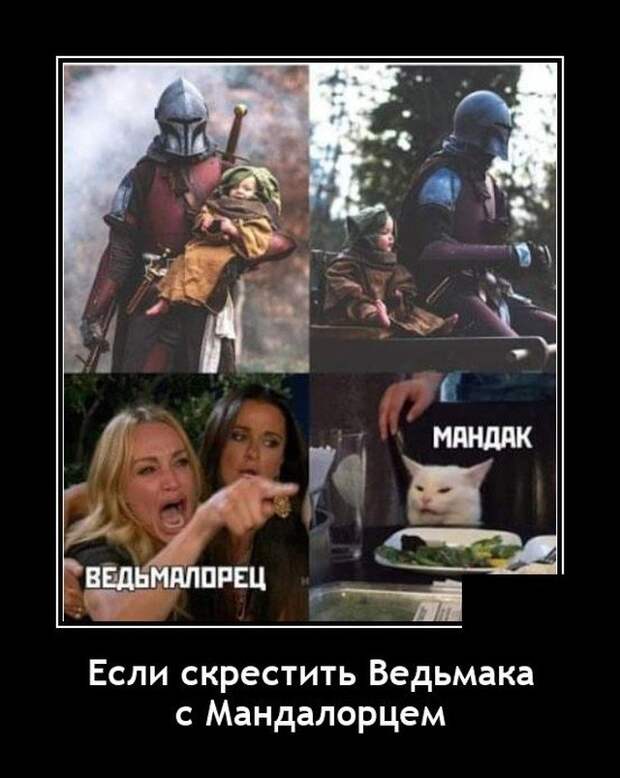 Демотиватор про Ведьмака