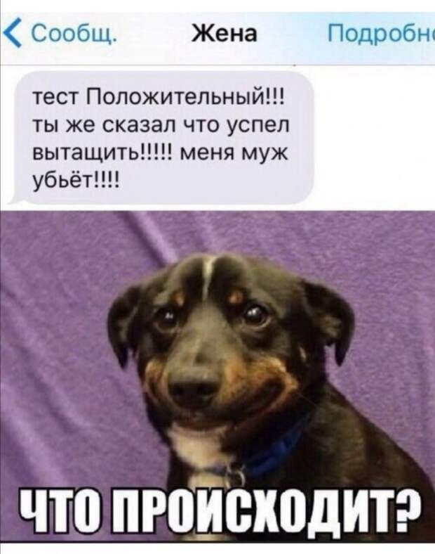 Приколы про современных девушек