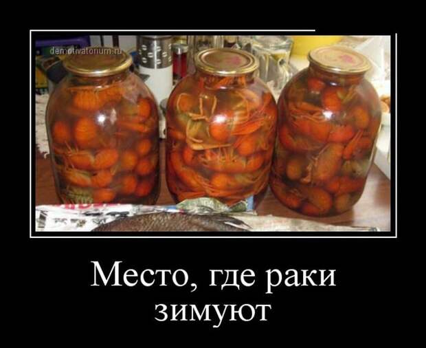 Демотиваторы