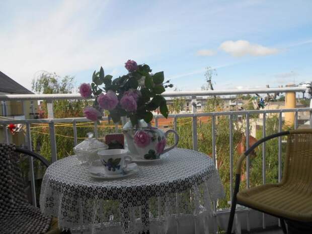 Вот так начинается летнее утро за чаем на балконе.