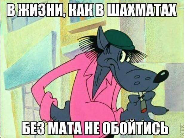 картинки прикольные смешные (9)