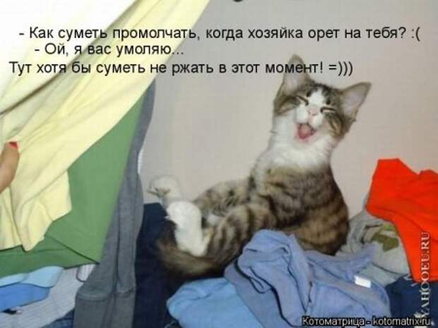 Приехала в гости сестра с двумя детьми 2 и 5 лет… Кот сразу притворился мертвым…