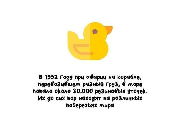 Интересные короткие факты на все случаи жизни
