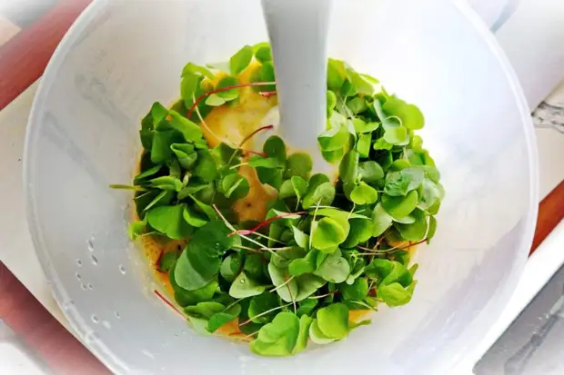 ‌ ‌‌ ‌‌ :‌ ‌‌ ‌‌ ‌‌