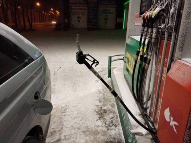 kartinok-veselyh-interesnyh-kartinki-smeshnye-kartinki-fotoprikoly