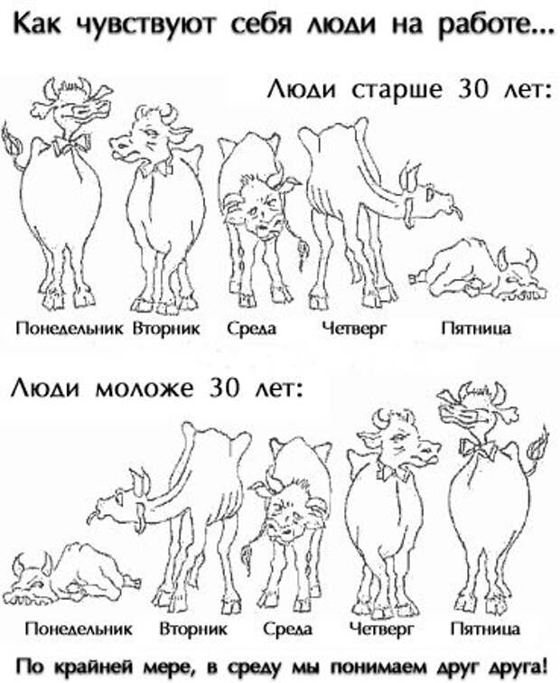 Веселая картинка - "Как чувствуют себя люди на работе"
