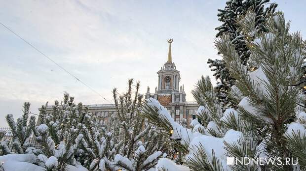 Первая рабочая неделя принесет 30-градусные морозы