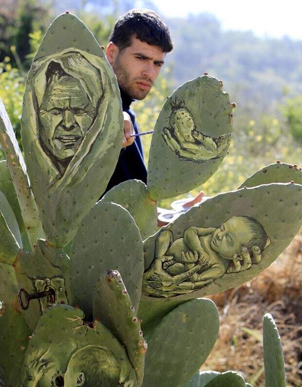 Палестинский художник пишет картины на кактусах кактус, художник