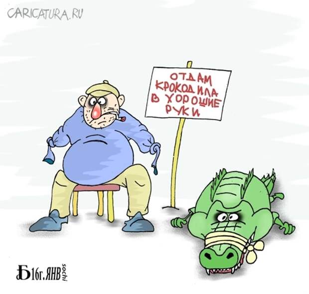 Съешь шаурму - помоги очистить город от бездомных собак!