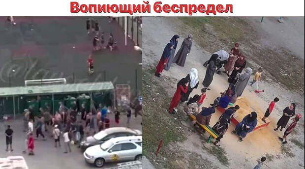 Коллаж автора 