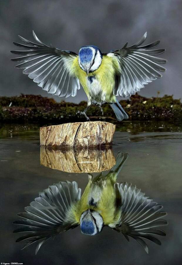 Водный мир: лучшие фотографии