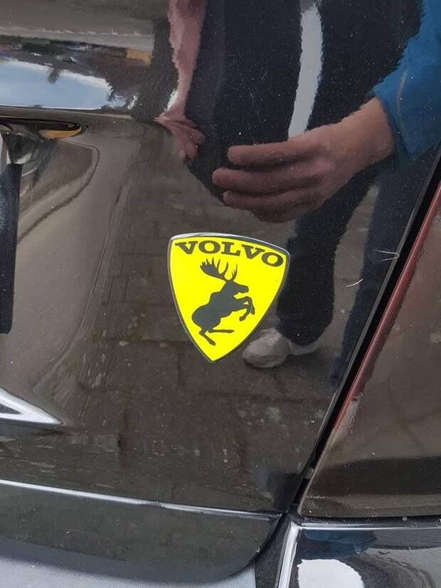 Подборка прикольных картинок