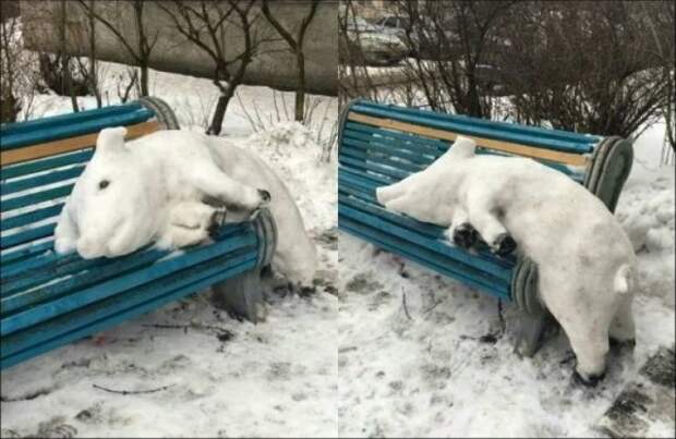 Необычные таланты и увлечения людей на фото