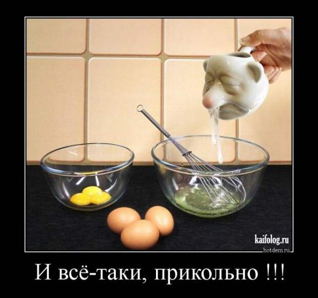 Очень прикольные демотиваторы (50 штук)