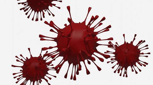 Количество заболевших коронавирусом в Севастополе увеличилось до 4 281 человек