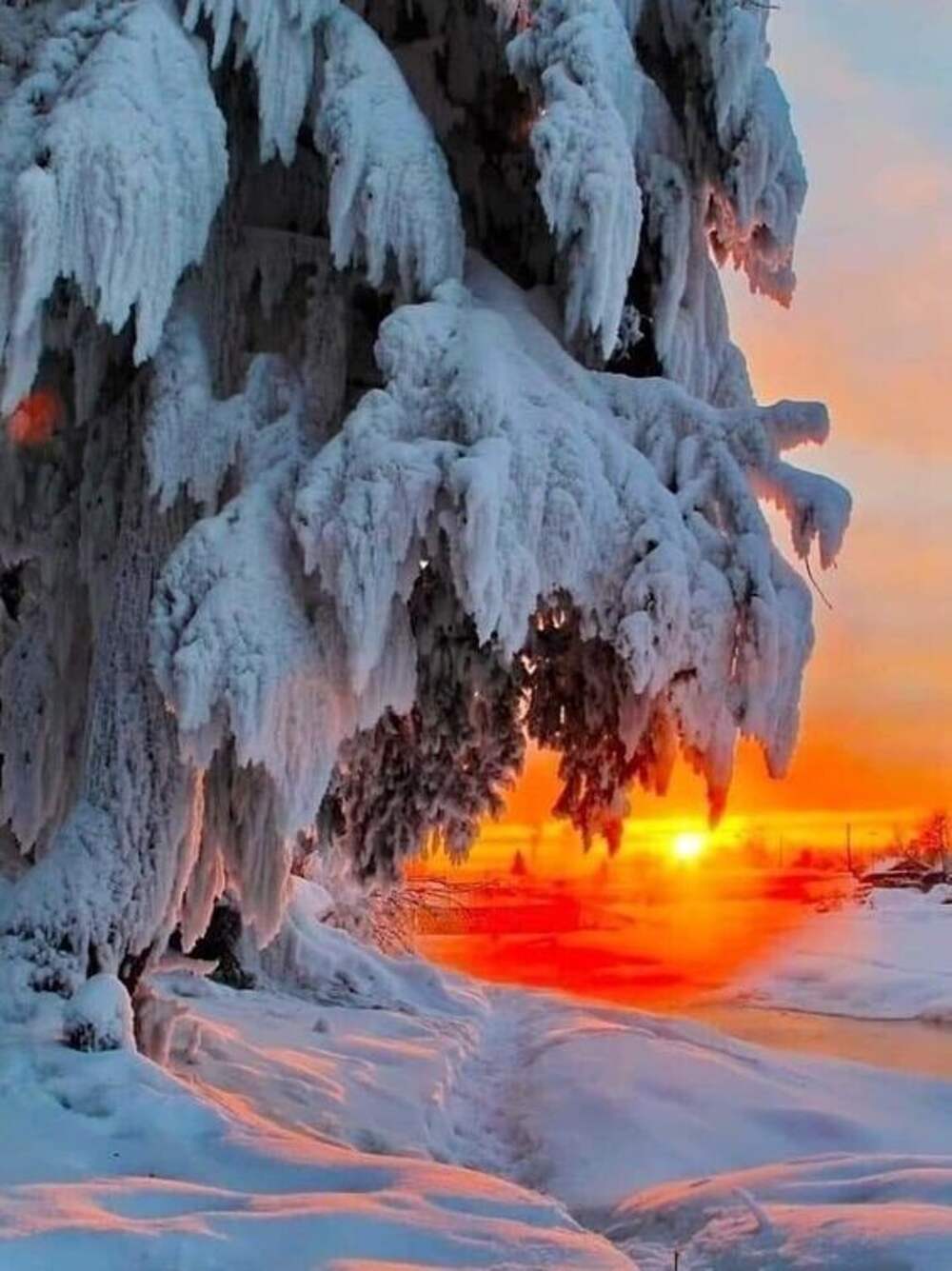 очень красивые фото зимы