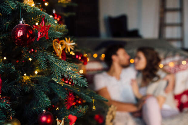 Юрист Турунина: за выброс новогодней елки в мусорный контейнер грозит штраф