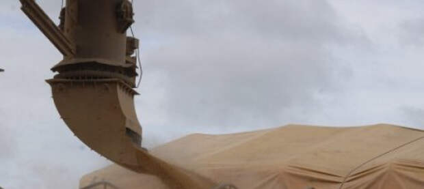 Египет поможет России с экспортом российского продовольствия